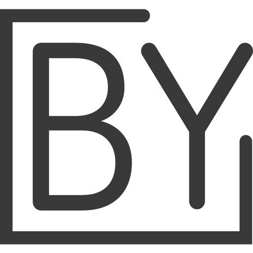 BY Venture Partners logo