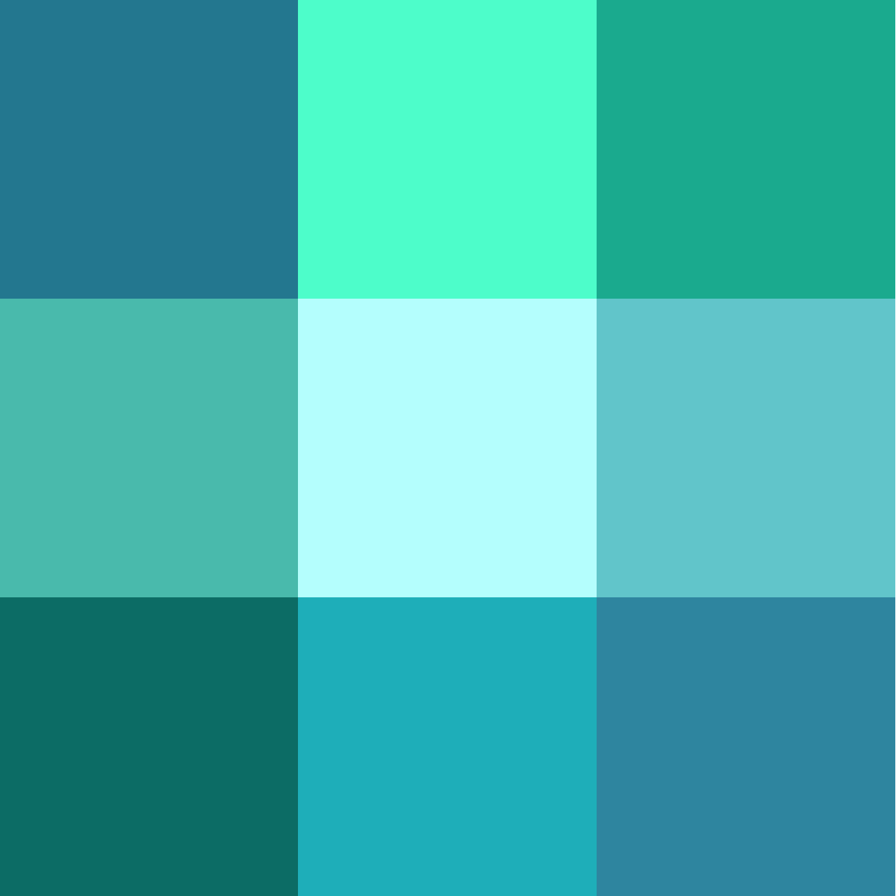 Cyan Ventures logo