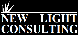 New Light Consulting logo