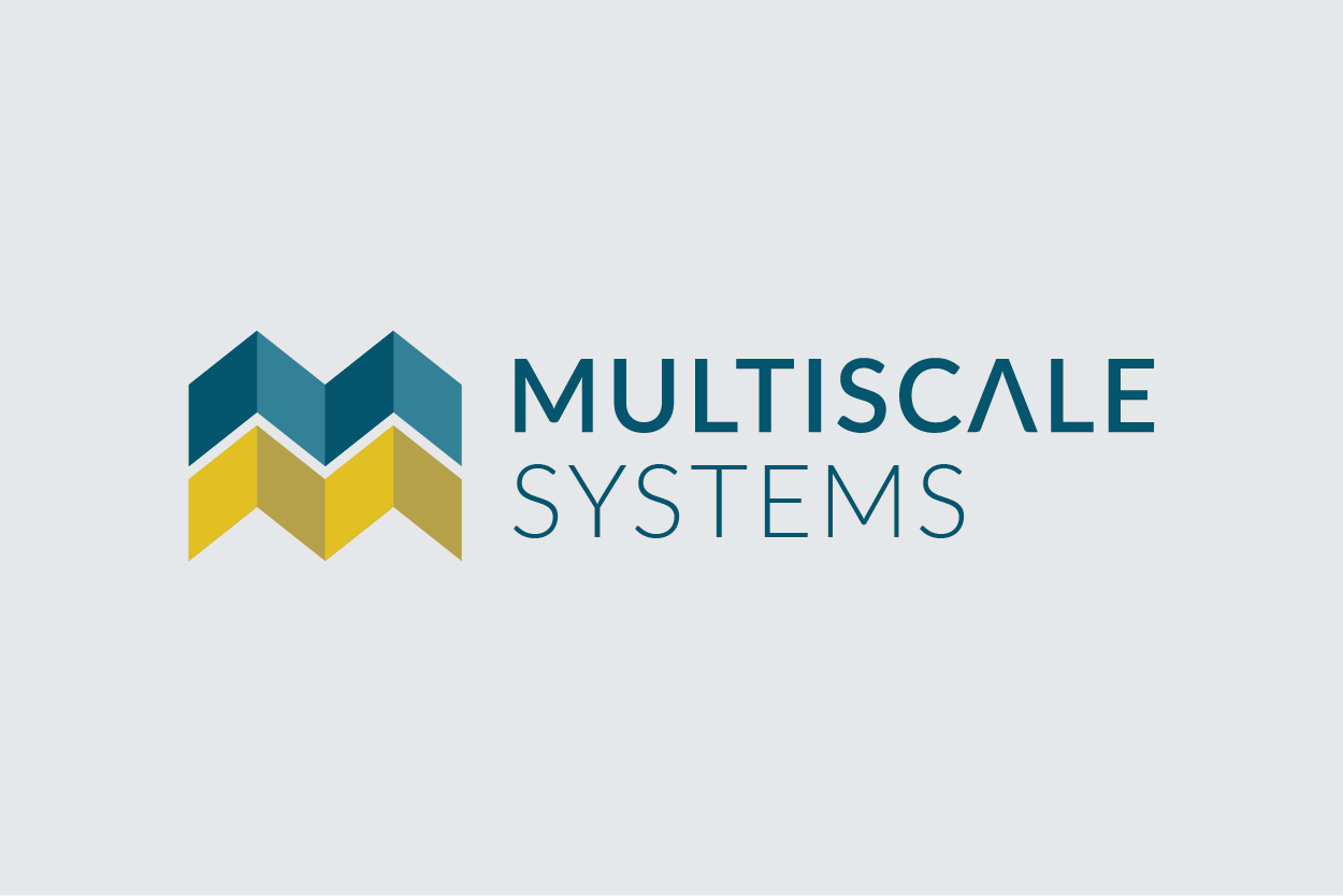 Multiscale Systems logo