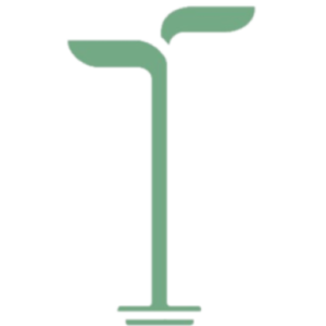 Radicle Development Center logo